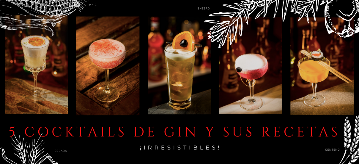  5 cocktails de Gin y sus irresistibles recetas